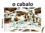 O cabalo